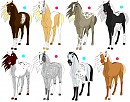 Adoptables | Closed