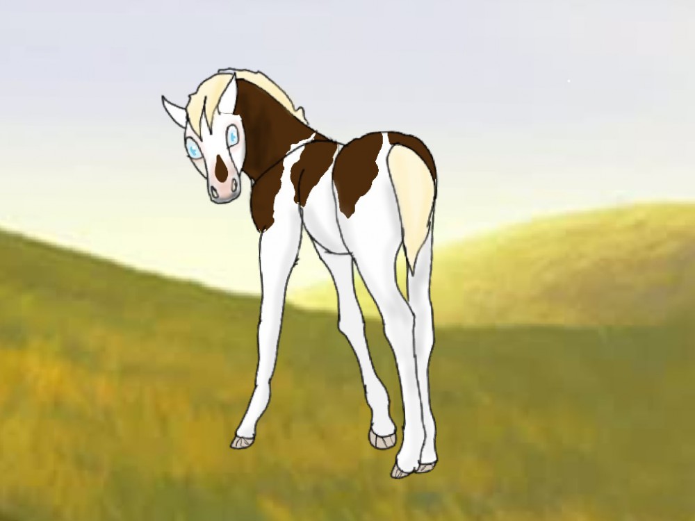 Fan foal Pistorious x Creme