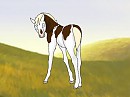 Fan foal Pistorious x Creme