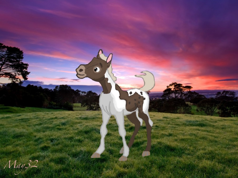 Trade with Loren1015- Ira as a foal