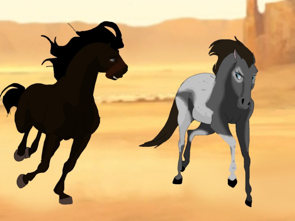 The race of our lives 
