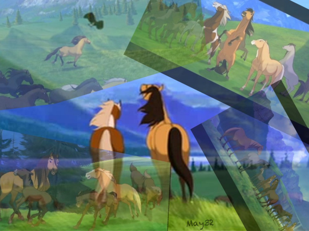 My herd (remembers)