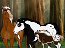 Fan Foal!
