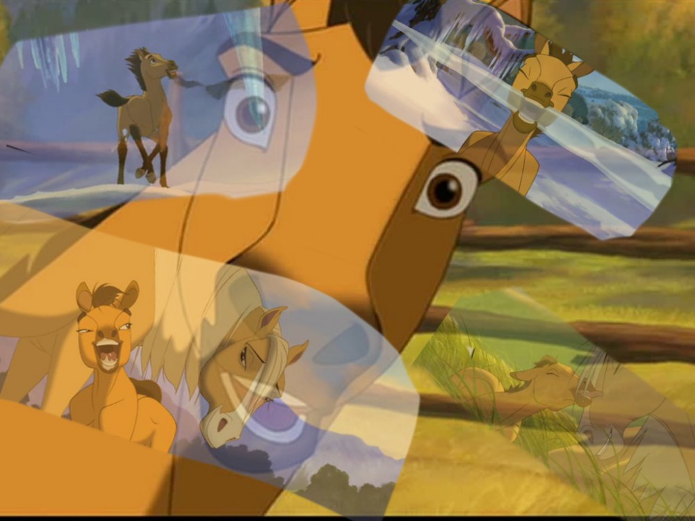 My asome foal remembers...