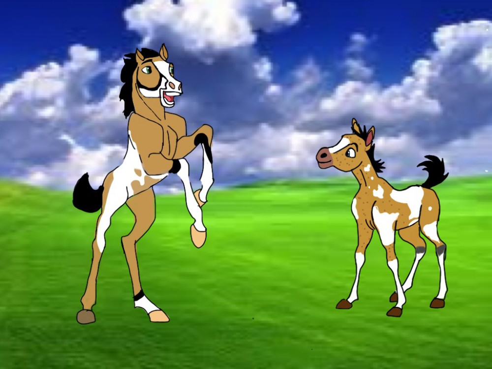 Foals 