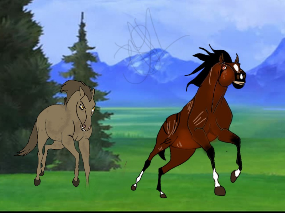 Race ( a sorry for DV)