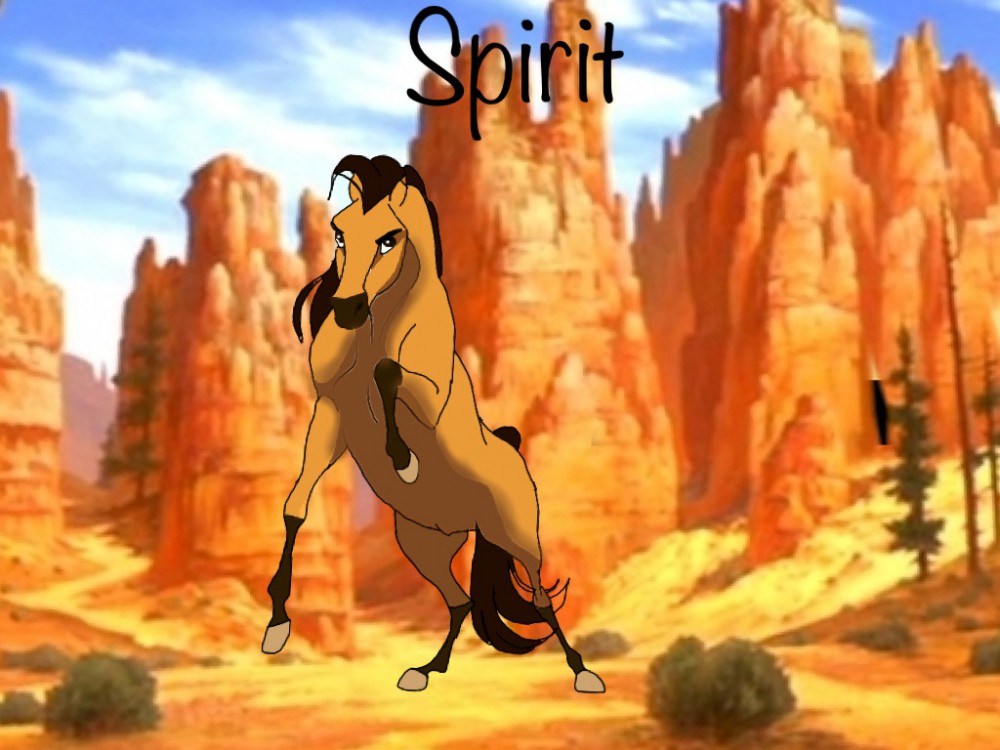 Spirit presentation profile