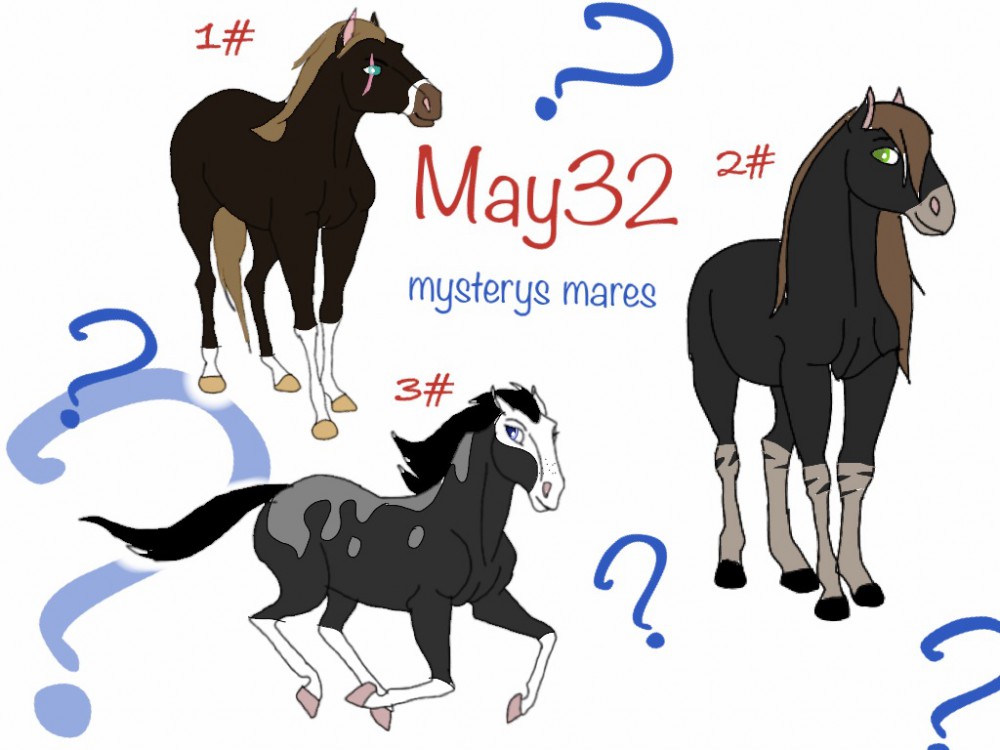 Mystery mares no.1 (adoptables)