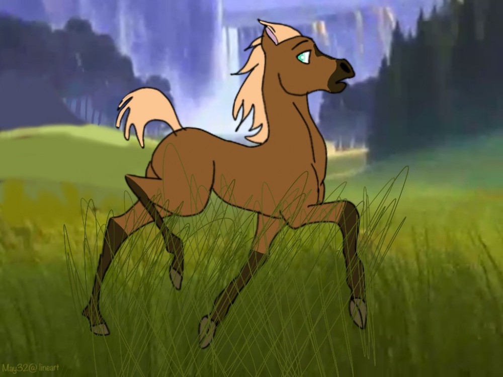 A FOAL OF MAYA AND SIPIRT!!!!