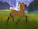 A FOAL OF MAYA AND SIPIRT!!!!