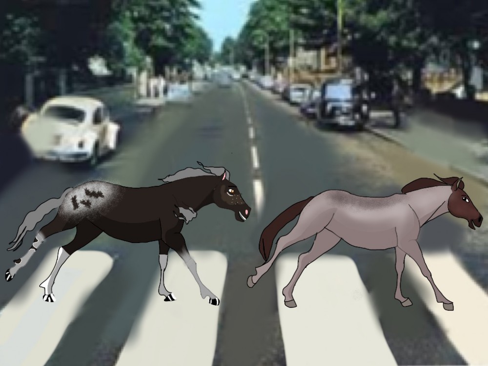 The Horses ( Beatles horse version)