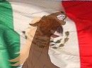 Happy Independece of MEXICO!!!