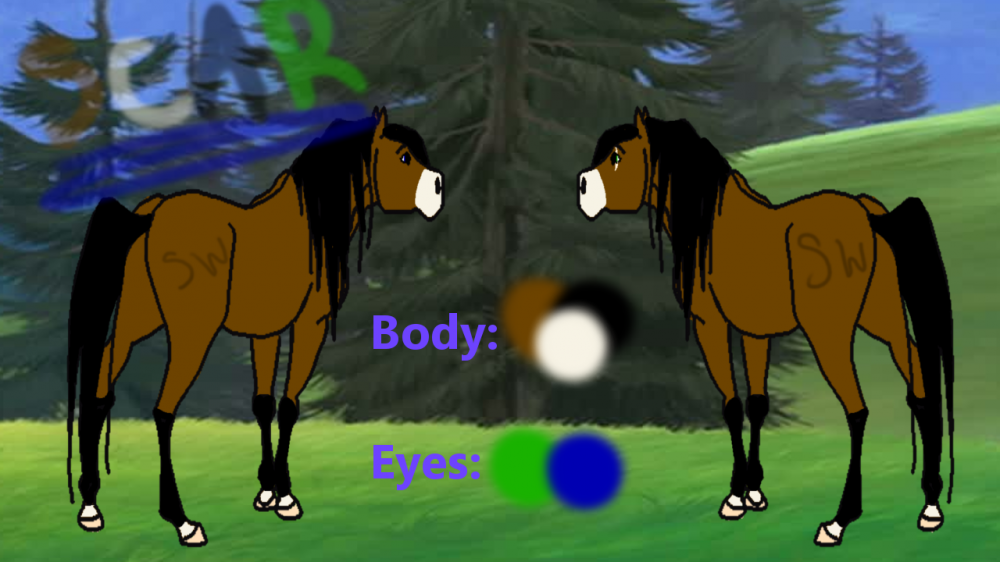 Scar New Reference