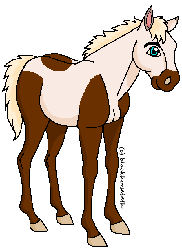 Foal May