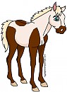 Foal May