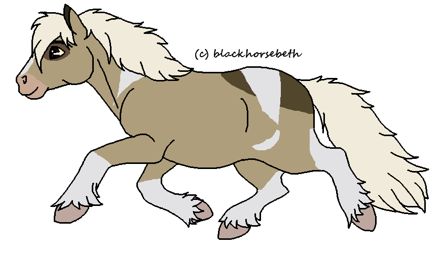 Shetland Adoptable*taken*
