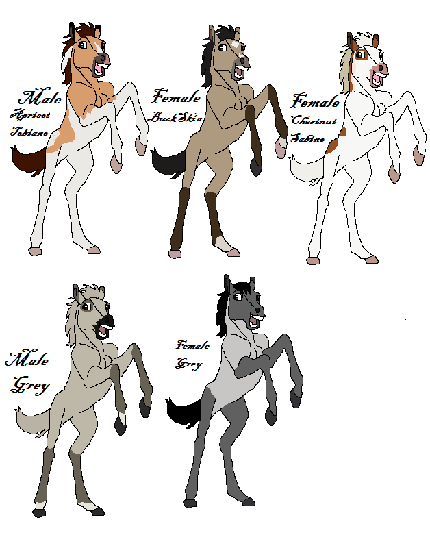 Foal Adopts*All Taken*