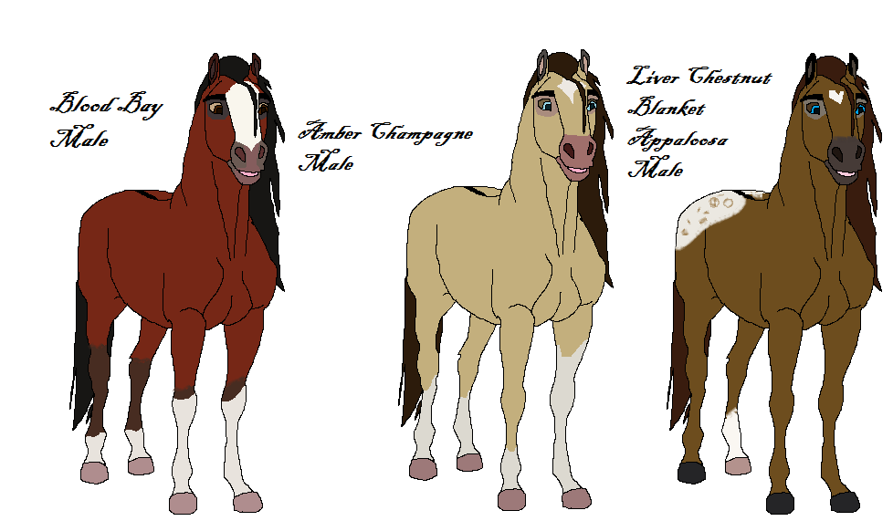 Horse Adopts*All Taken*
