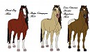Horse Adopts*All Taken*