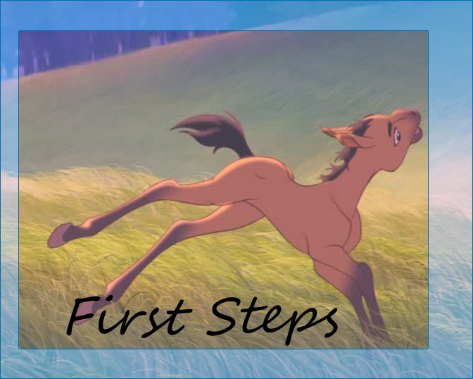 First Steps