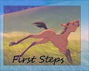First Steps