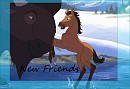New Friends