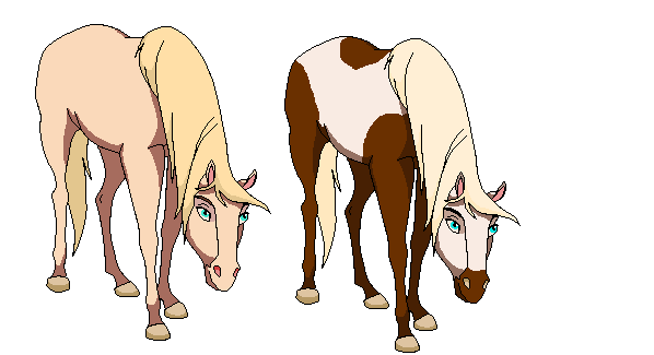 which design