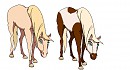 which design