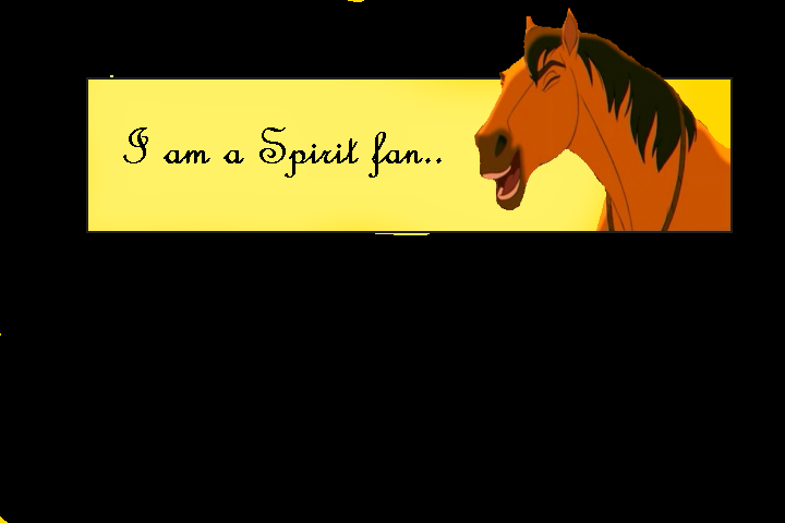 I am a spirit fan banner