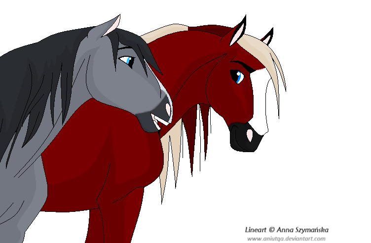Searching for more mares?