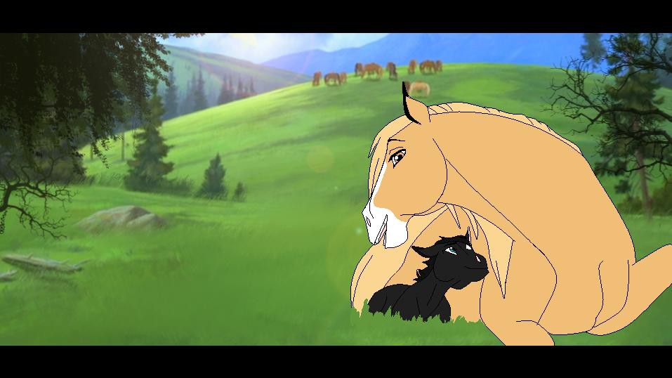 Esperanza and the new foal.
