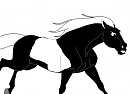 Blackfire