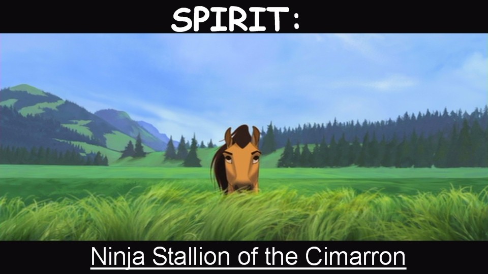 Spirit the Ninja