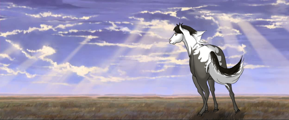 REQUEST: Horses101