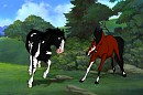 The Fight (Rp Image)