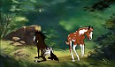 Fan Foals! (2)