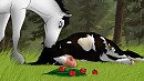 Skin and Bones (Rp Image)