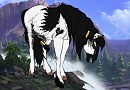 New Equisona- Nanook!