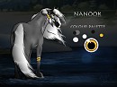 Nanook Reference