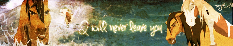 I will never leave you