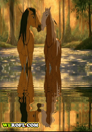 Rain and Spirit