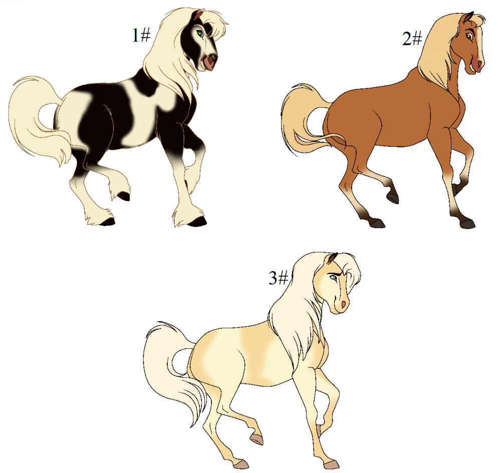 Adoptable Stallions