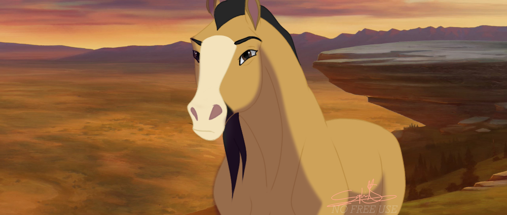 Mare of The Cimarron