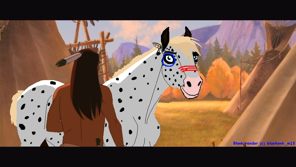 appaloosa horse