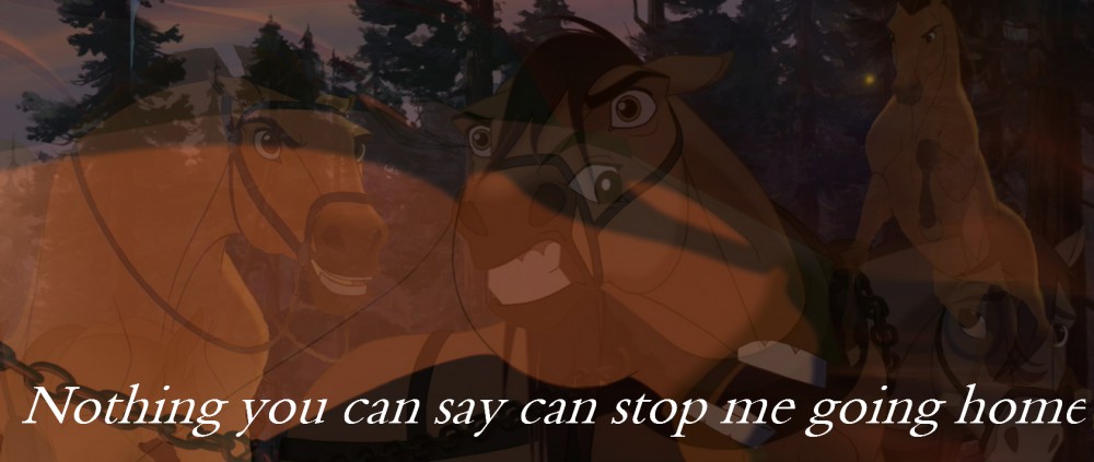 Nothing you can say can stop me going home.