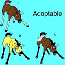 Adoptable foals