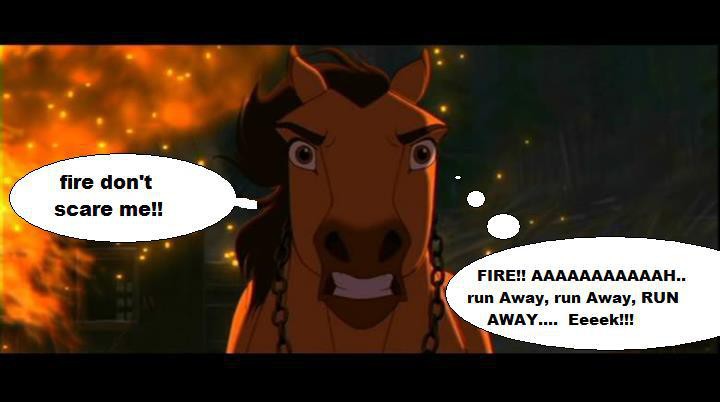 Spirit is scared of fire