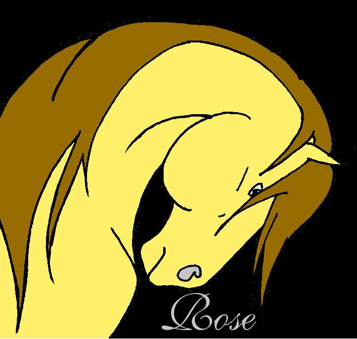 Sad Rose 