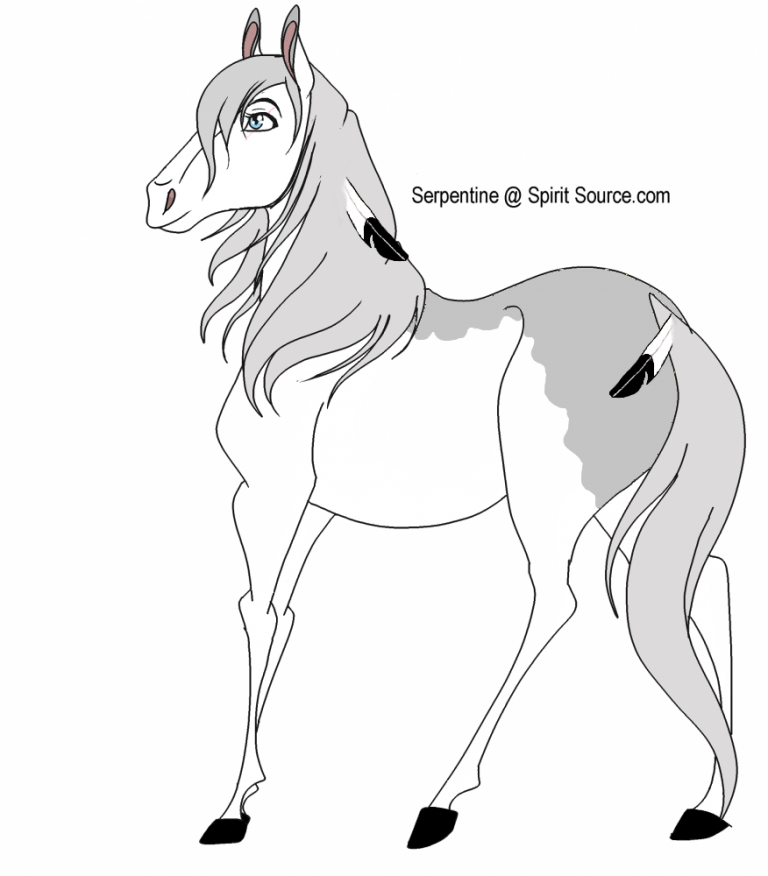 New horsey :3