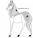 New horsey :3